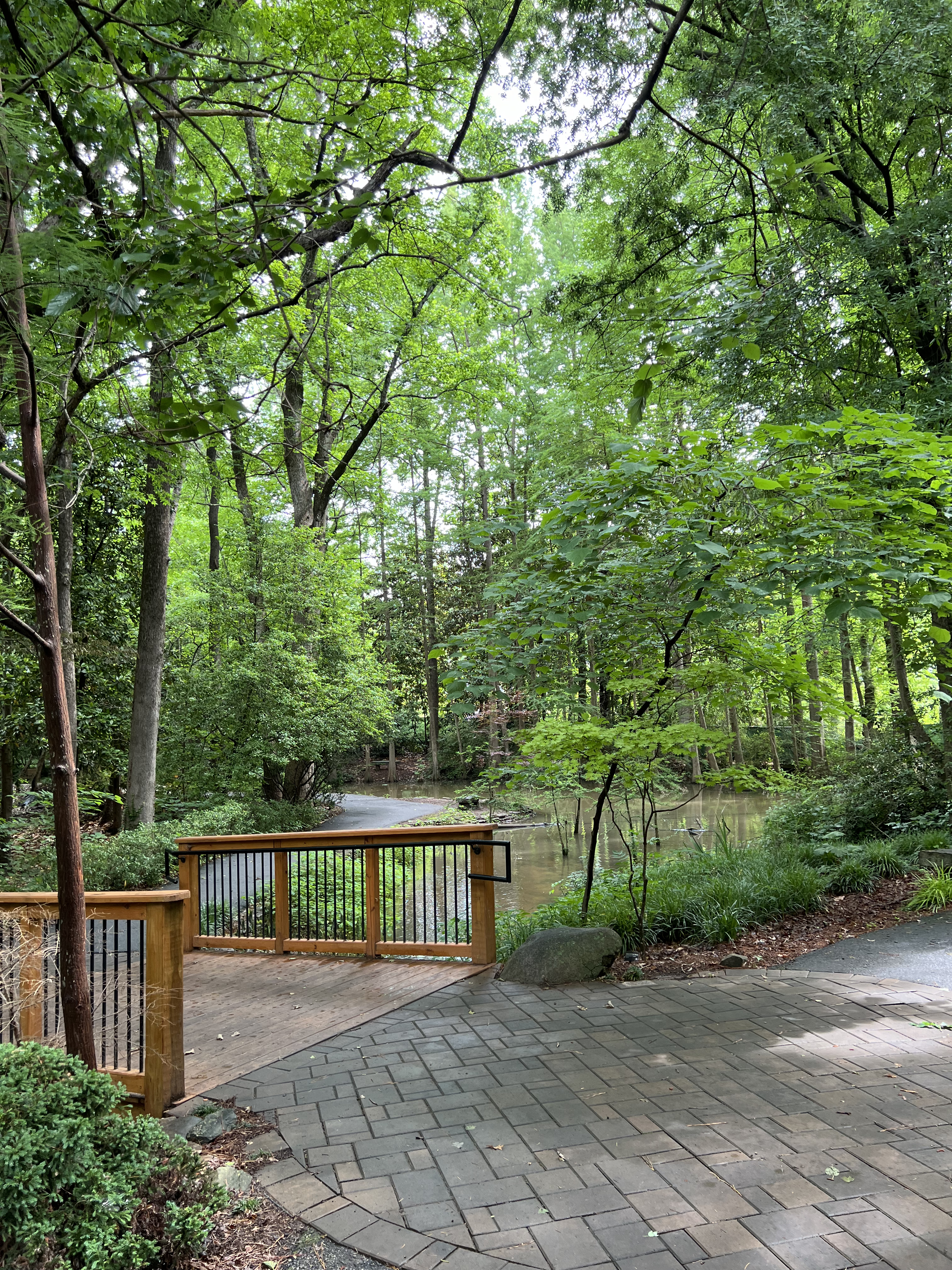 ./2024/07 - Gaffney/IMG_1499.jpg